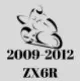 2009-2012 ZX6R Fairings