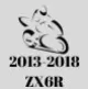 2013-2018 ZX6R Fairings