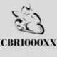 CBR 1000XX BlackBird Fairings