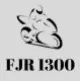 FJR1300 Fairings