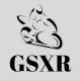 GSXR Fairings