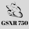 GSXR 750 Fairings