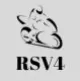 RSV4 Fairings