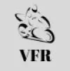 VFR Fairings