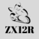 ZX12R Fairings