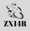 ZX14R Fairings