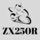 ZX250R Fairings