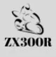 ZX300R Fairings