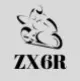 ZX6R Fairings