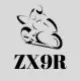 ZX9R Fairings